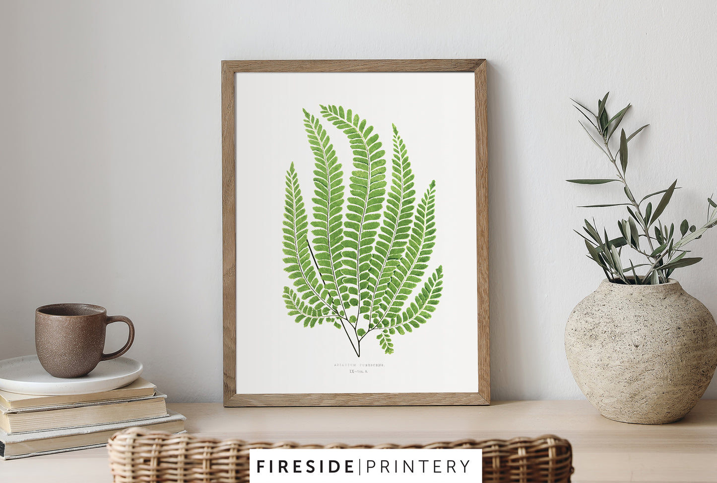 Vintage Fern Illustration Two