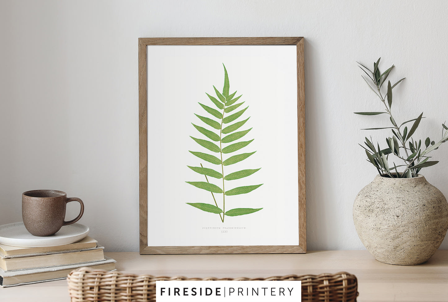 Vintage Fern Illustration Three