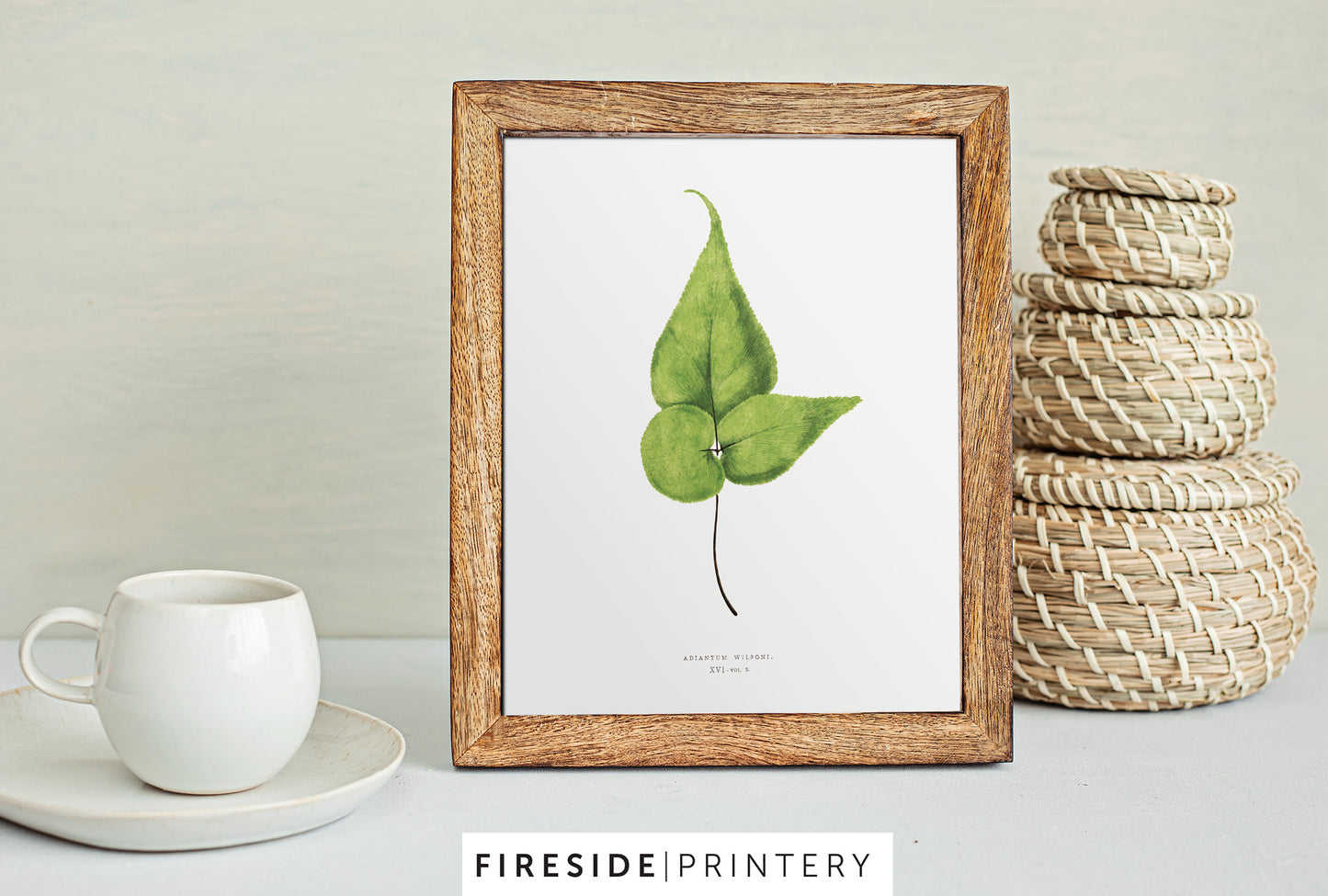 Vintage Fern Illustration Five