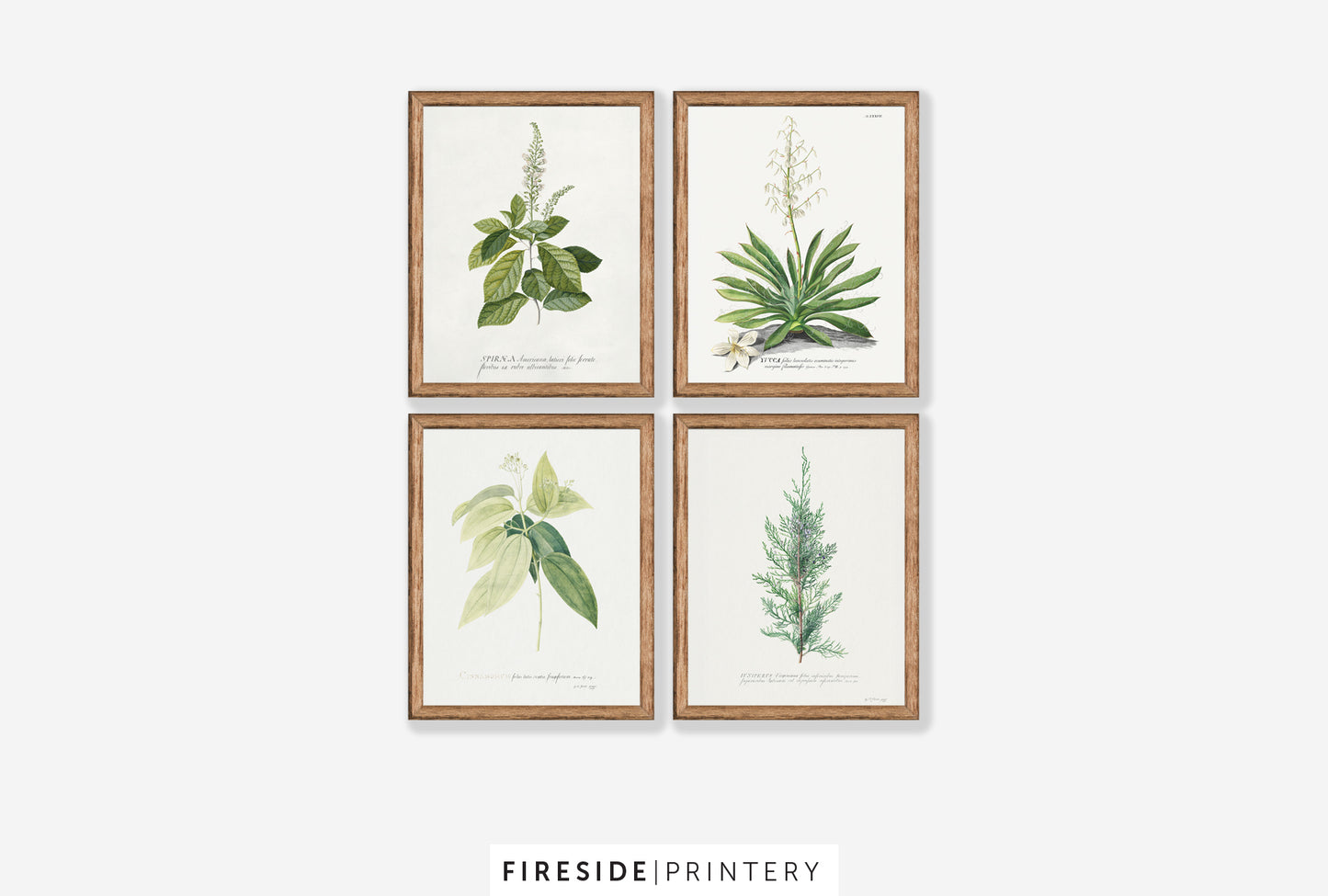 Farmhouse Ferns Gallery Set