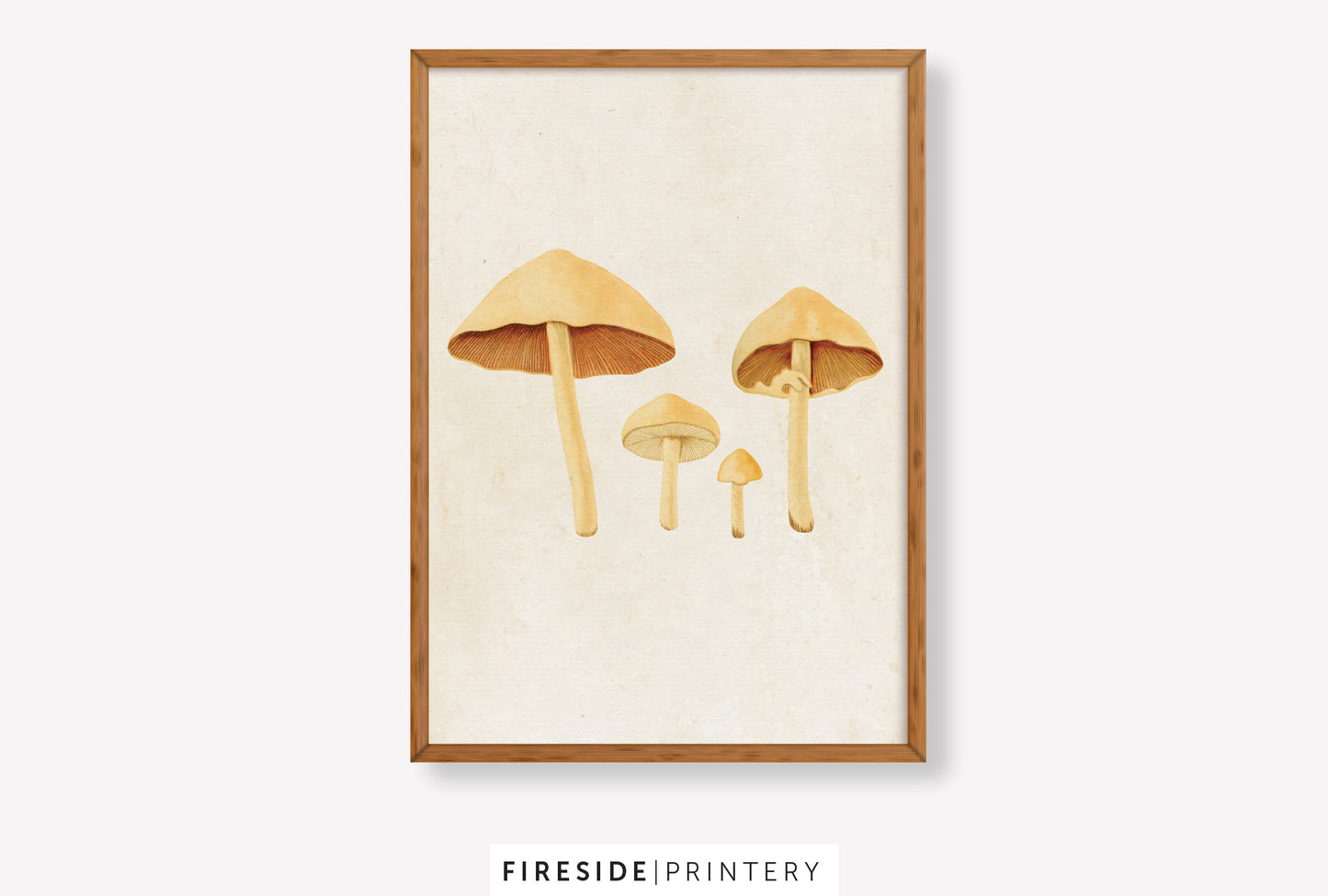 Vintage-Inspired Mushroom Illustration Set