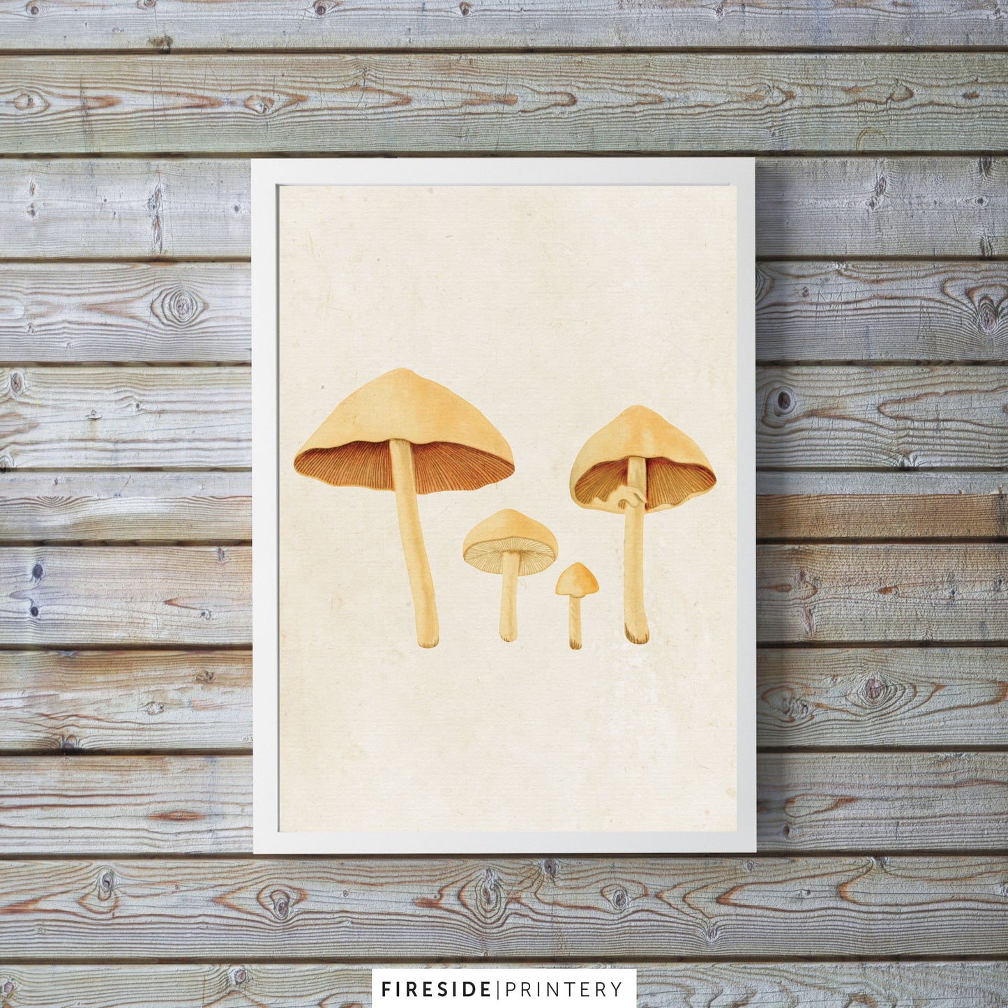 Vintage Mushroom Print 1