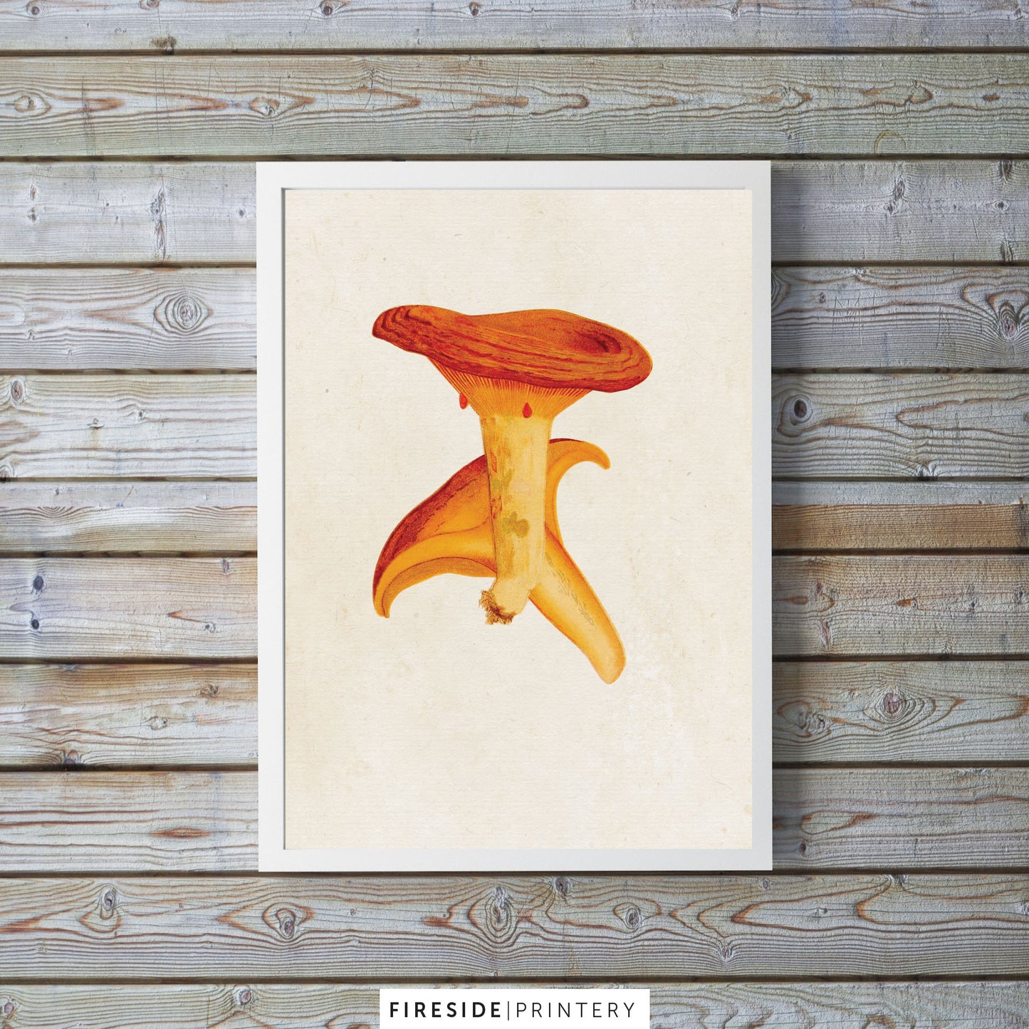 Vintage Mushroom Print 2