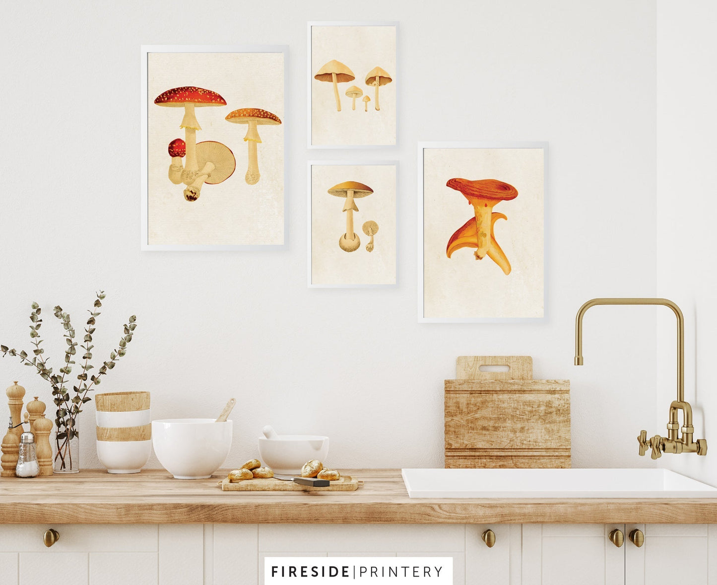 Vintage Mushroom Print 4
