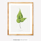 Vintage Fern Illustration Five