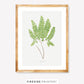 Vintage Fern Illustration Six