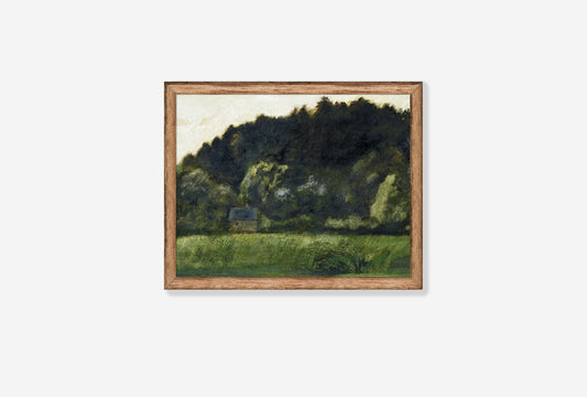 The Forest Edge