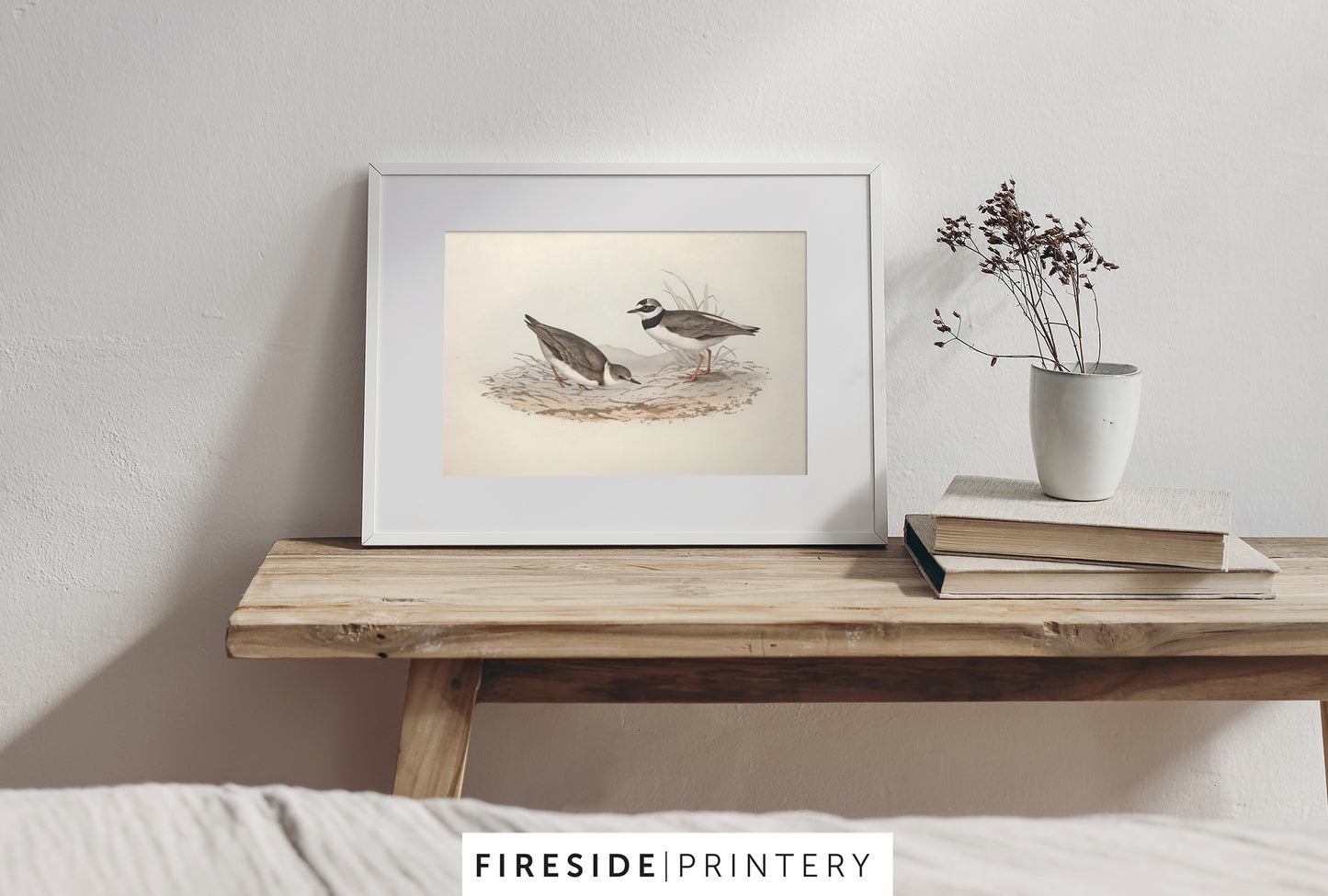 Ringed Plover