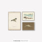 Serene Vintage Triptych