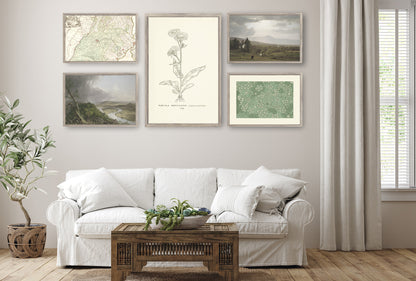 Subtle Hints of Green