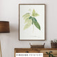 Farmhouse Ferns Gallery Set