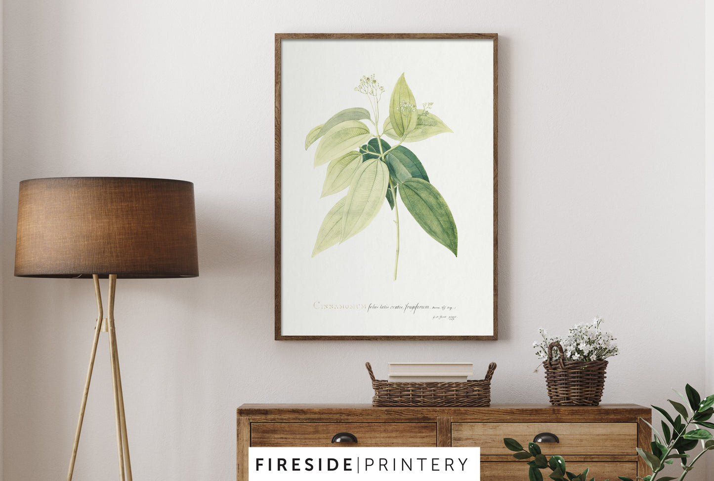 Farmhouse Ferns Gallery Set