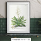 Farmhouse Ferns Gallery Set