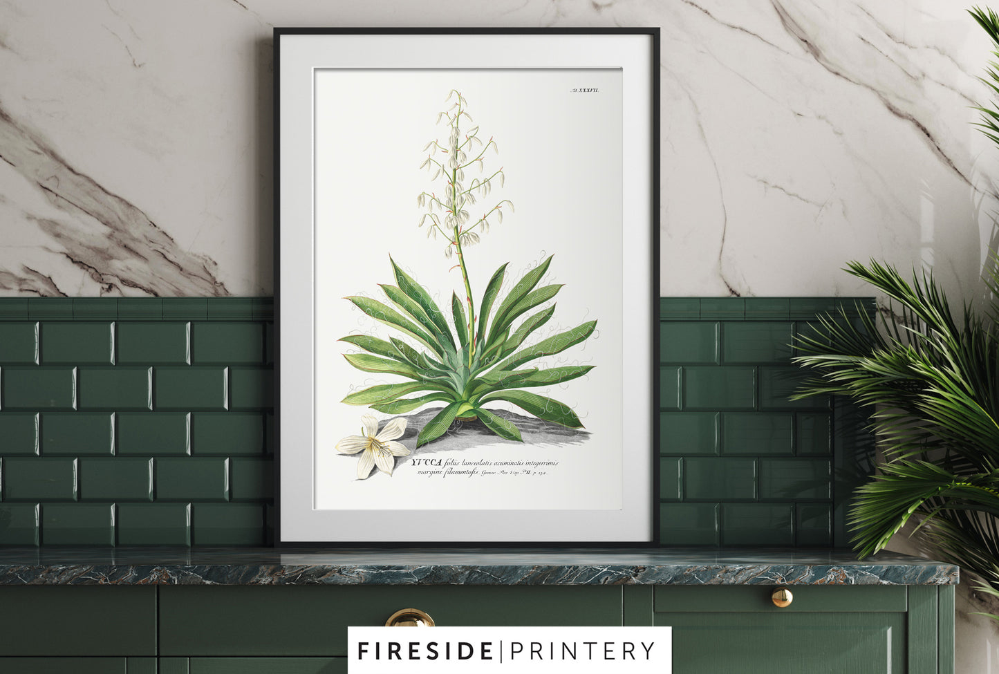 Farmhouse Ferns Gallery Set