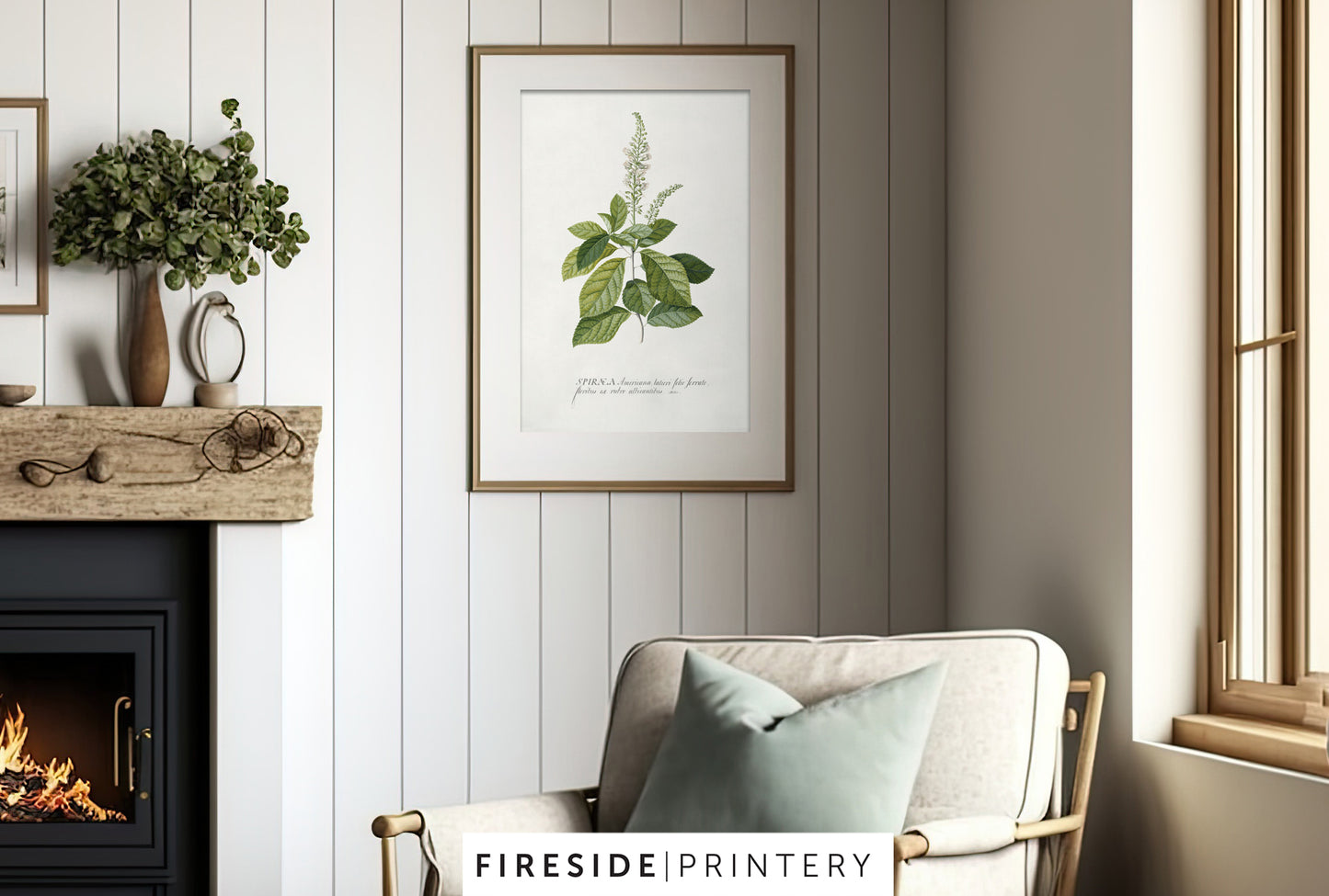 Farmhouse Ferns Gallery Set