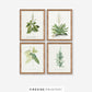 Farmhouse Ferns Gallery Set