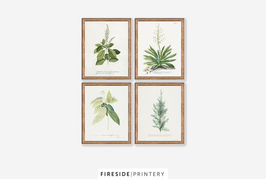 Farmhouse Ferns Gallery Set