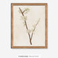 White Blossoms