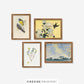 Sun-Kissed Gallery Set