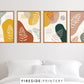Mellow Ferns Set of Four