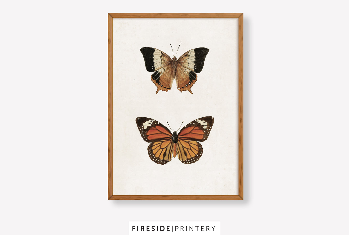 Vintage-Inspired Butterfly Illustration Set