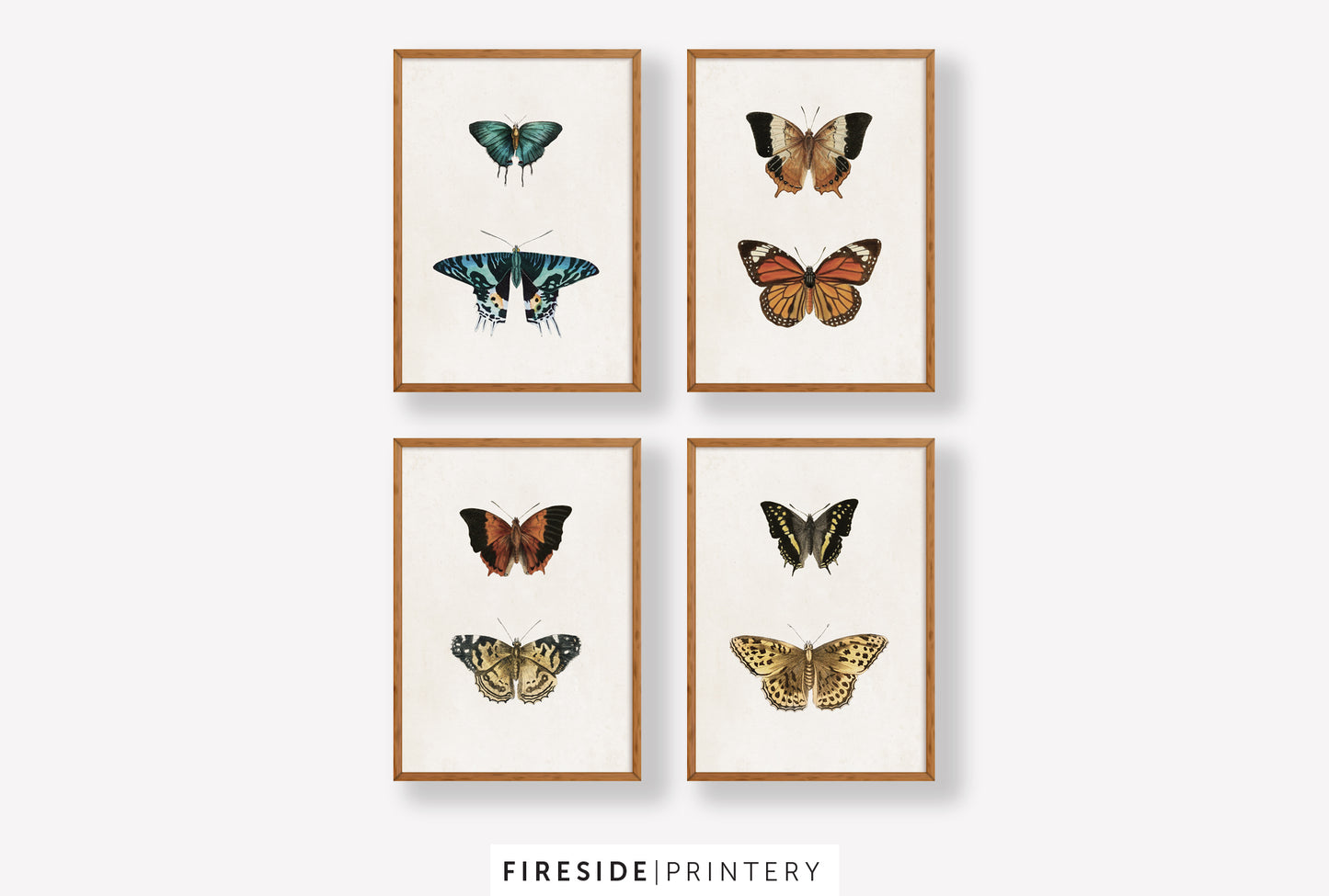Vintage-Inspired Butterfly Illustration Set