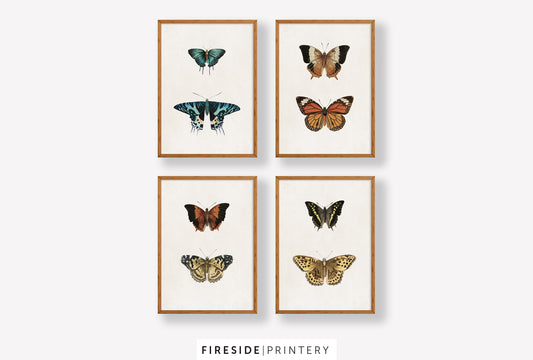 Vintage-Inspired Butterfly Illustration Set