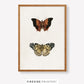 Vintage-Inspired Butterfly Illustration Set