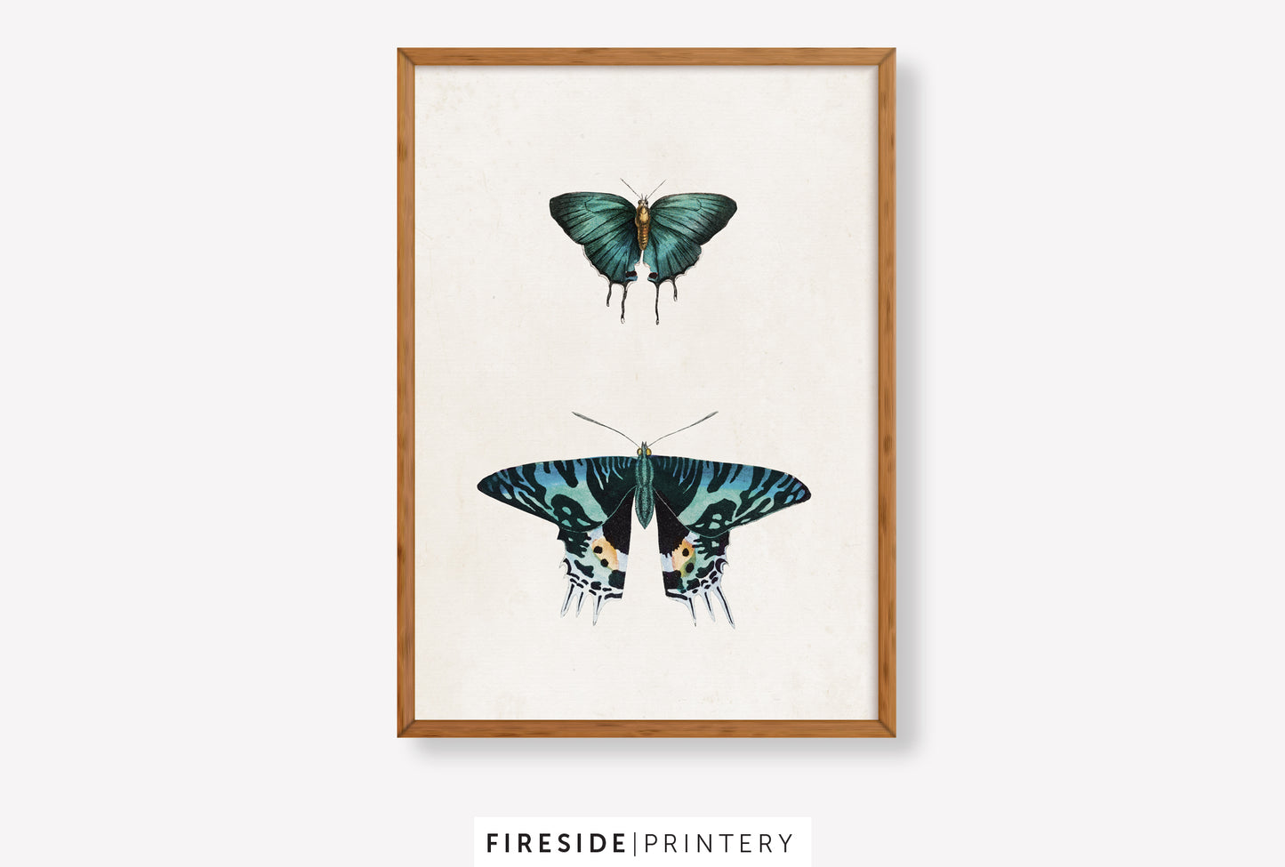 Vintage-Inspired Butterfly Illustration Set
