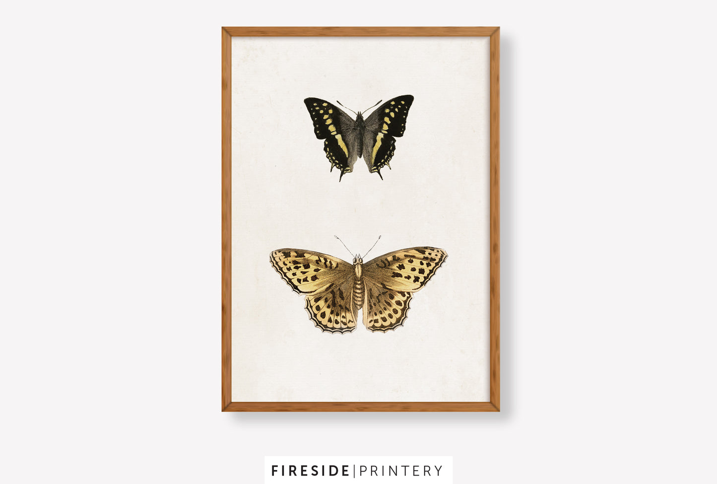Vintage-Inspired Butterfly Illustration Set