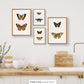 Vintage-Inspired Butterfly Illustration Set