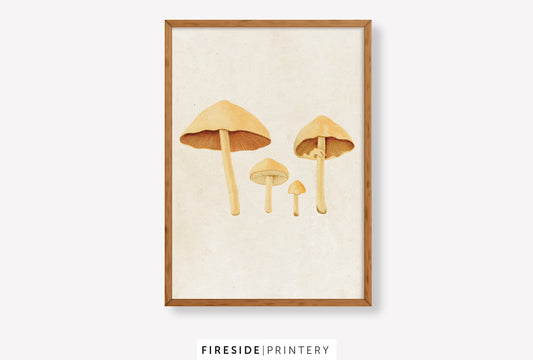 Vintage Mushroom Print 1