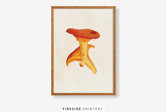 Vintage Mushroom Print 2