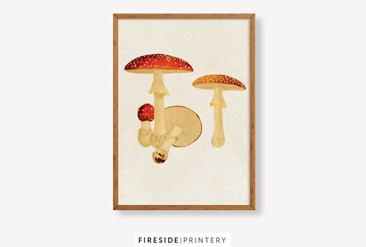Vintage Mushroom Print 3