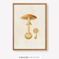 Vintage Mushroom Print 4