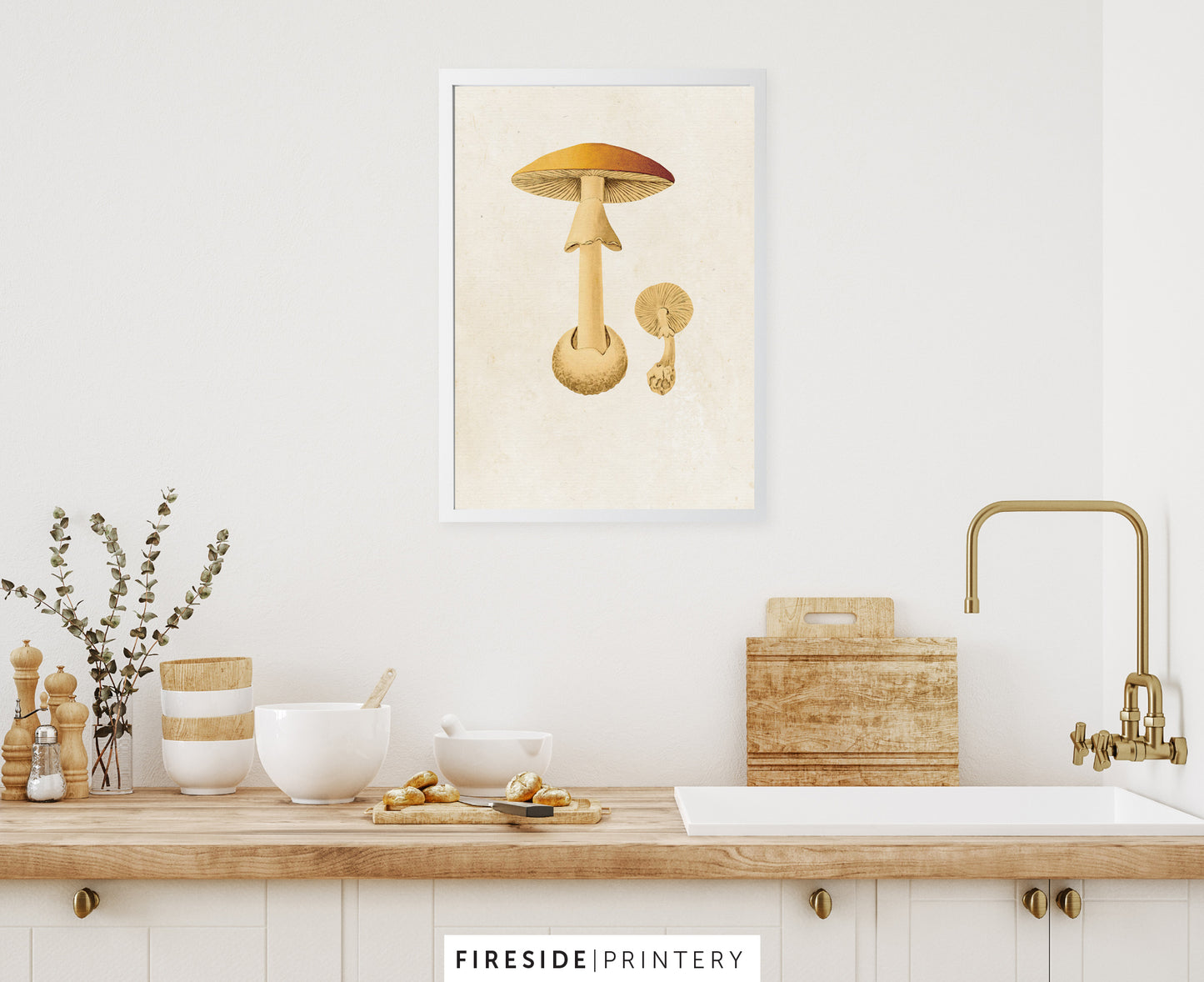 Vintage Mushroom Print 4