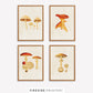 Vintage-Inspired Mushroom Illustration Set