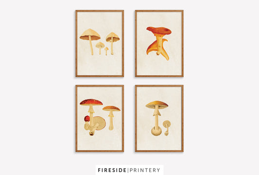 Vintage-Inspired Mushroom Illustration Set