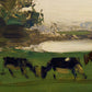 Pasture in Morning